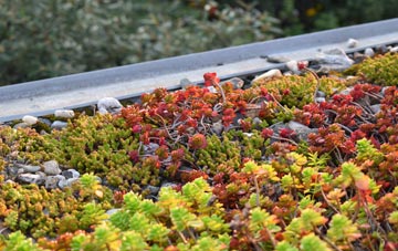 the cost of St Just green roof installation
