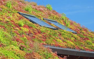 St Just living roof systems